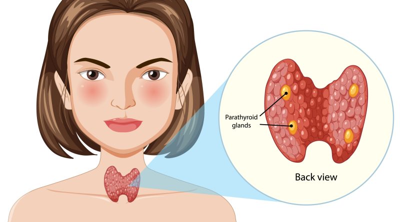 Ayurveda and Thyroid Health: What You Should Know