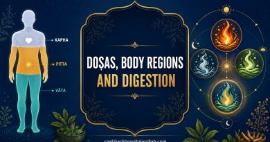 Doṣas, body regions and digestion