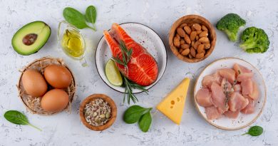 HIGH PROTEIN DIET
